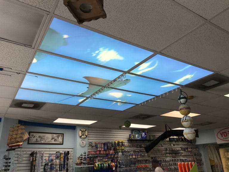 Bait store skylight design panel